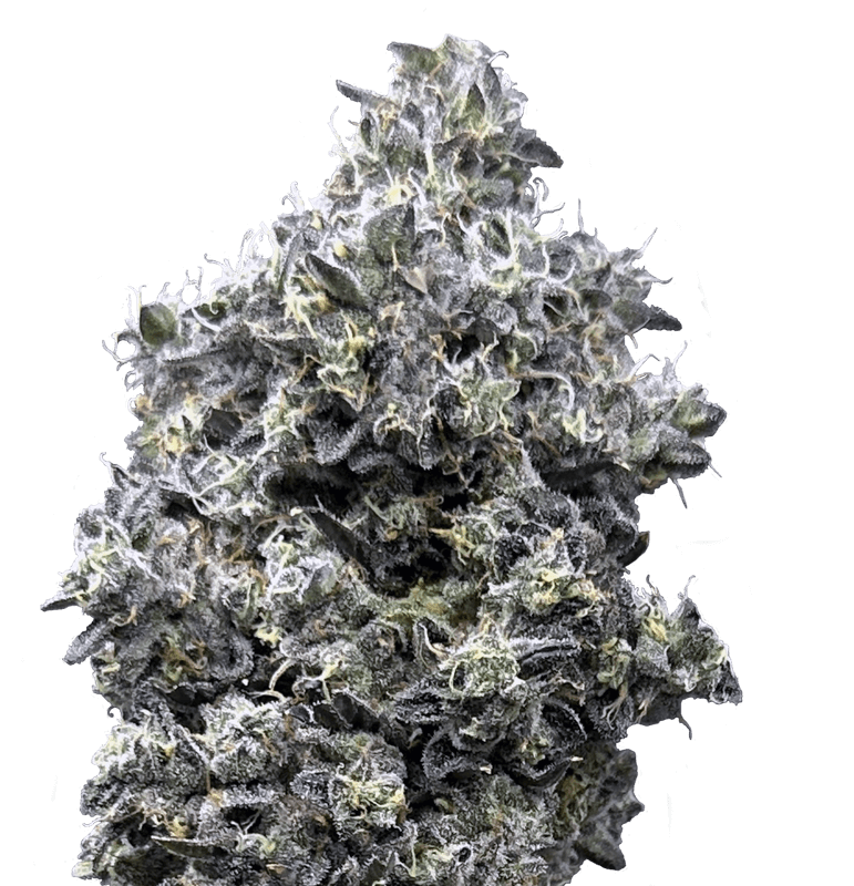 Apple Fritter 2