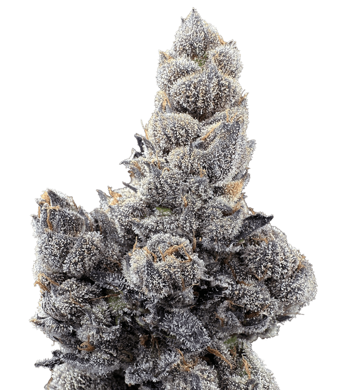 Ethanol 2