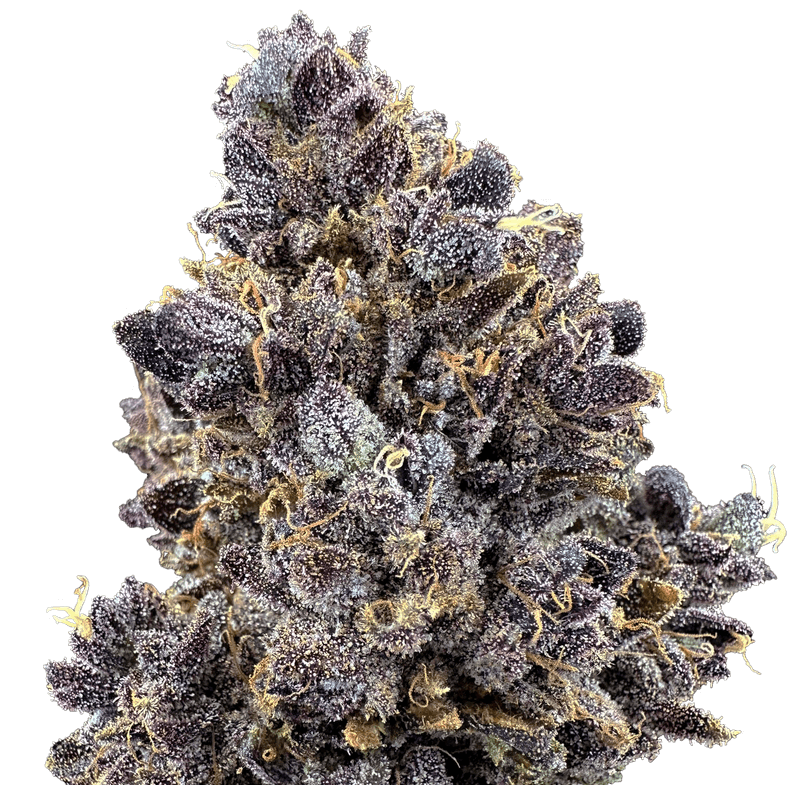 Lemon Cherry Sherbert 2