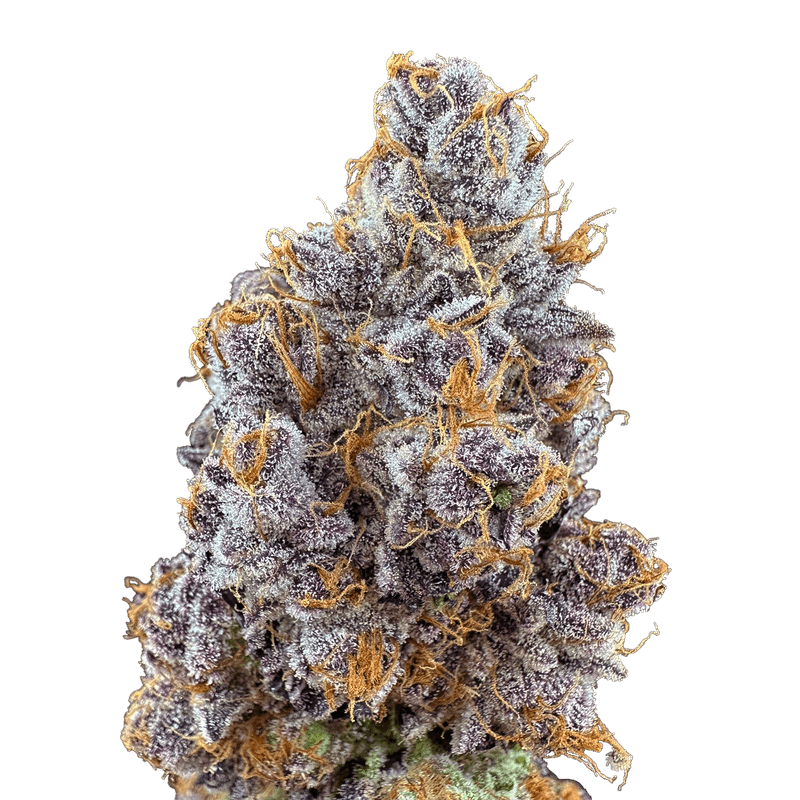 Purple Parfait 2